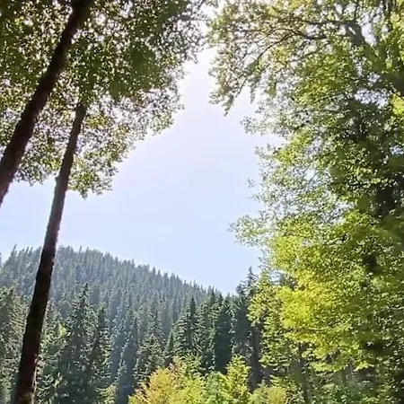 Dom wakacyjny Planinska Kuca Arbinje