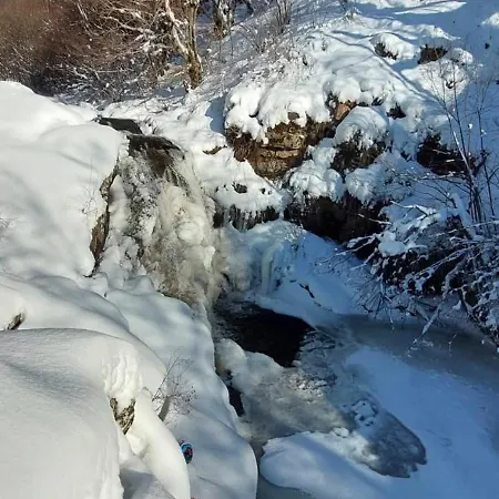 Dom wakacyjny Planinska Kuca Arbinje Dojkinci