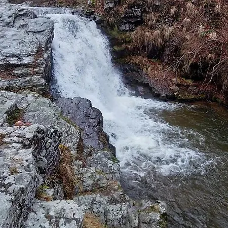 Dom wakacyjny Planinska Kuca Arbinje Dojkinci