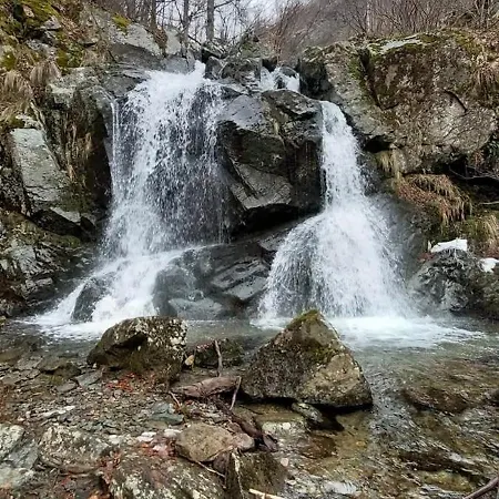 Planinska Kuca Arbinje Dom wakacyjny Dojkinci