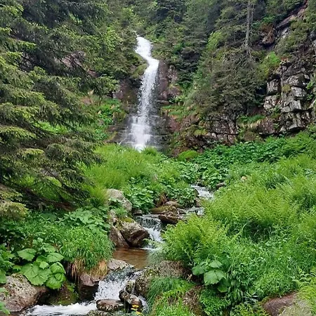 Planinska Kuca Arbinje Dom wakacyjny Dojkinci